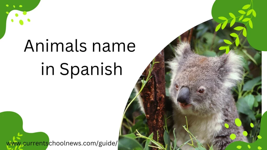 Animal Names in Spanish and Their Meanings