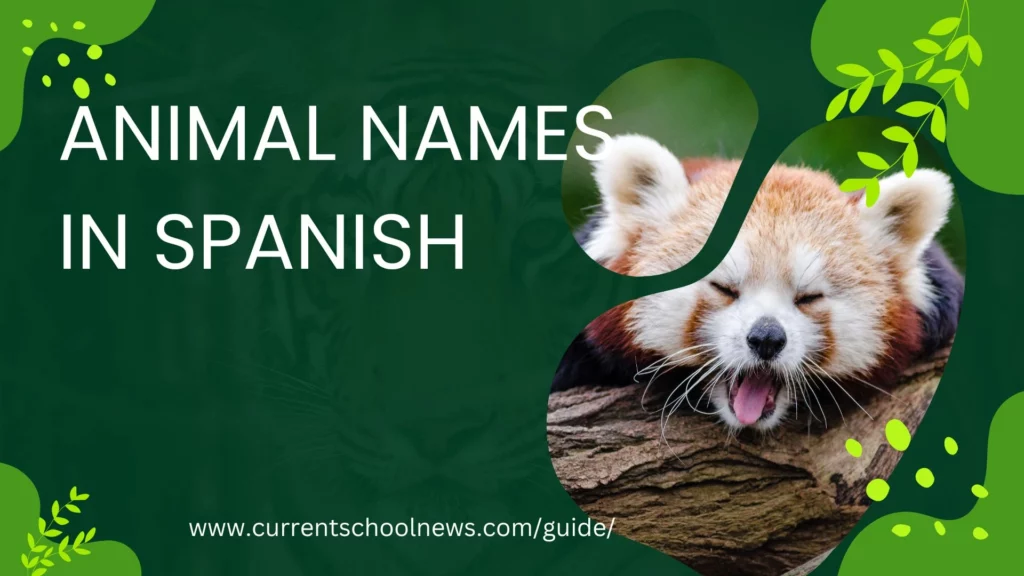 Animal Names in Spanish and Their Meanings
