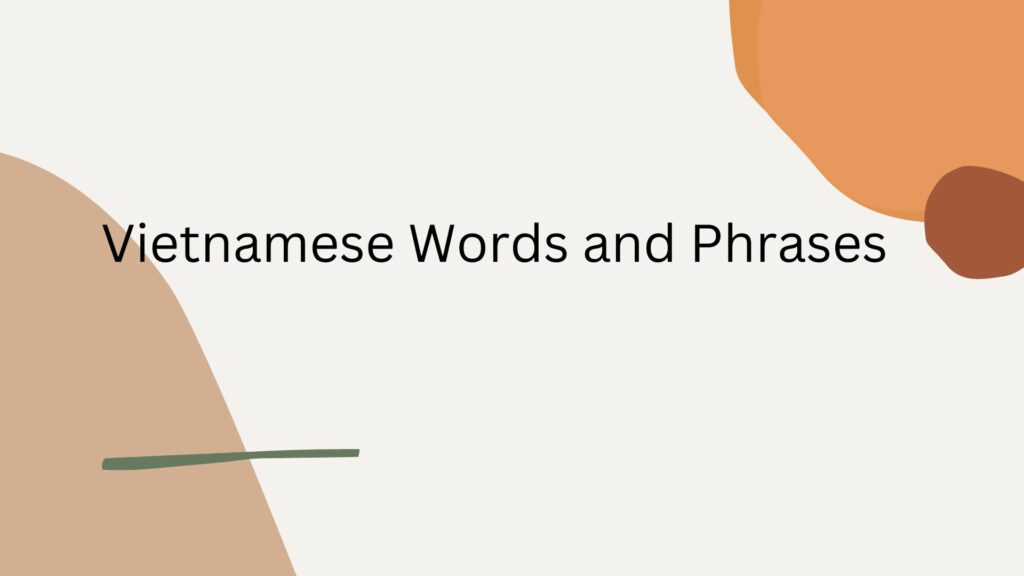 vietnamese-words-and-phrases-complete-guide-and-translation