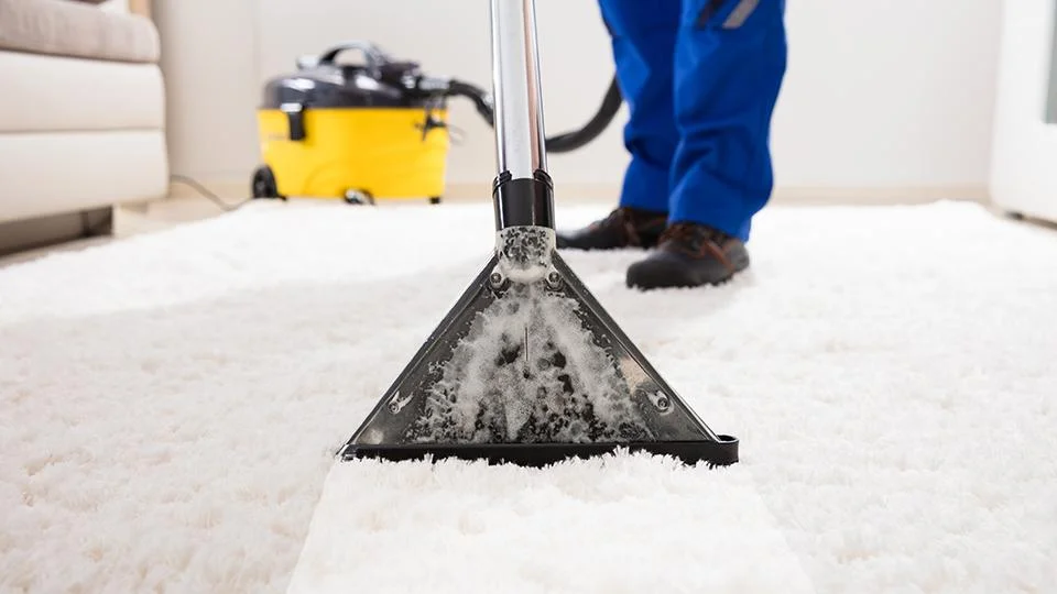 How Should I Use My Carpet Cleaner? (Dos & Don'ts) -  walmart carpet cleaner rental