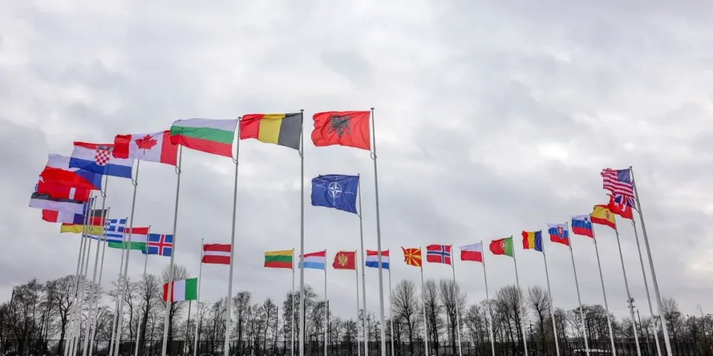 Which nations are NATO members?