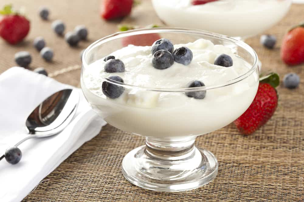is yogurt a liquid or a solid